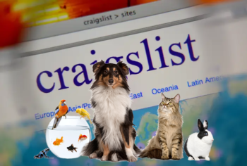 craigslist pets