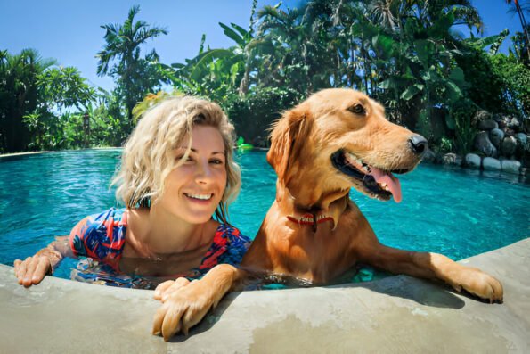 pet friendly hotels near me