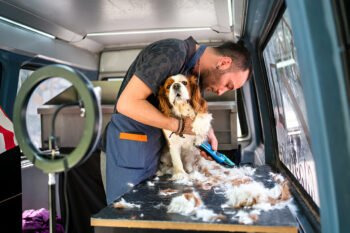 mobile dog grooming