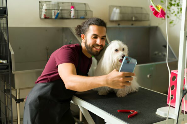 mobile dog grooming